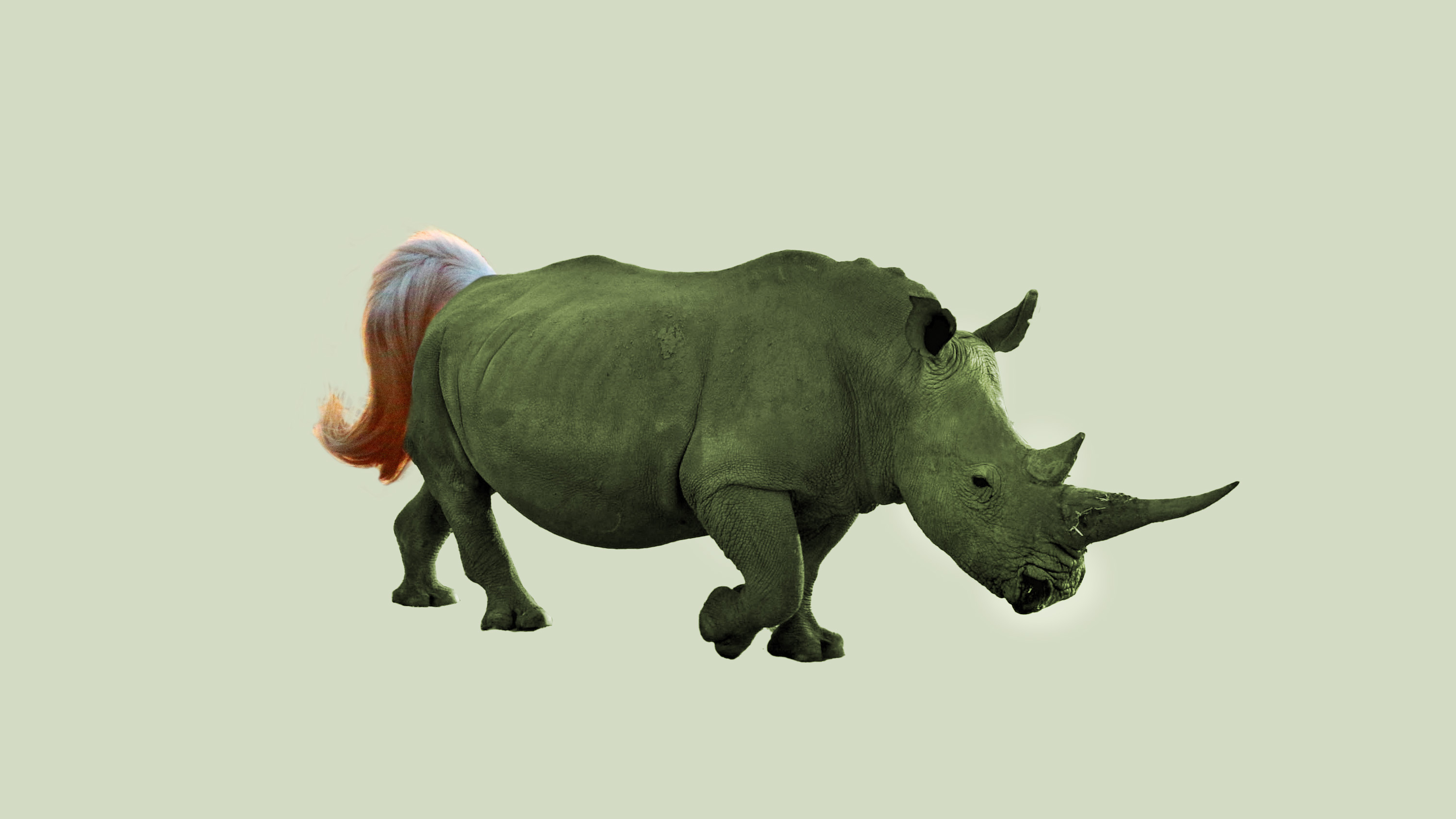 Rhinocorn, a cross between a rhino and unicorn