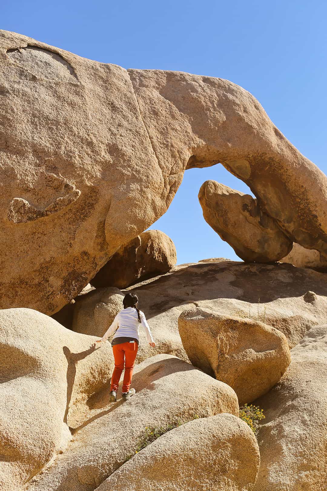Joshua Tree + 15 Best Places to Visit in the US in November