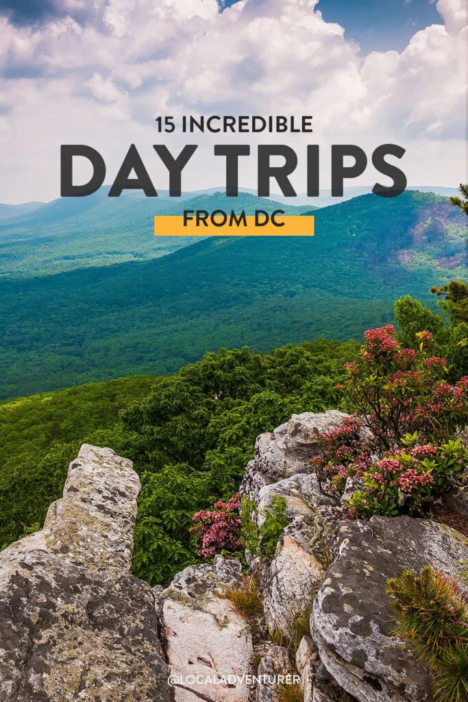15+ Best Day Trips from DC