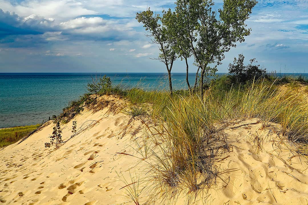 Indiana Dunes Beach