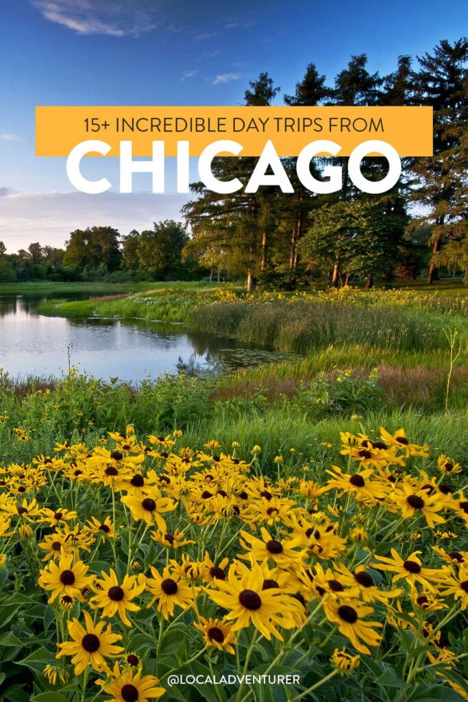 15+ Incredible Day Trips from Chicago IL