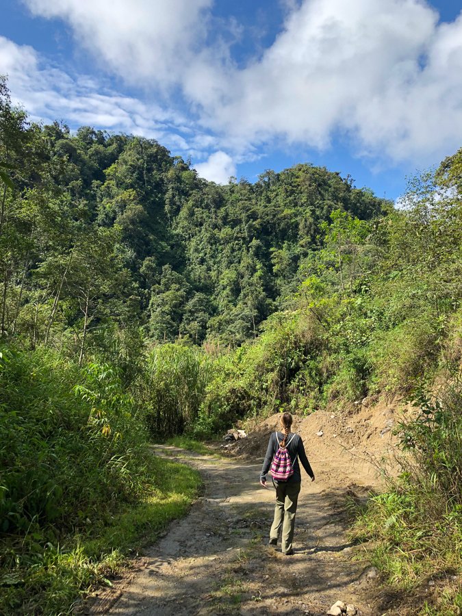 go for a walk and take breaks when you are working as a freelancer