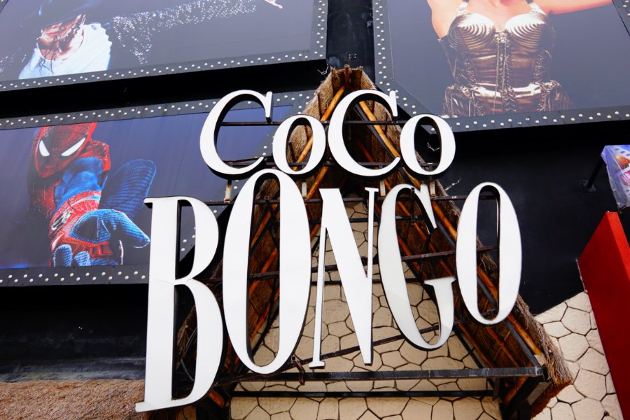 party at coco bongo is one of the most fun things to do in playa del carmen