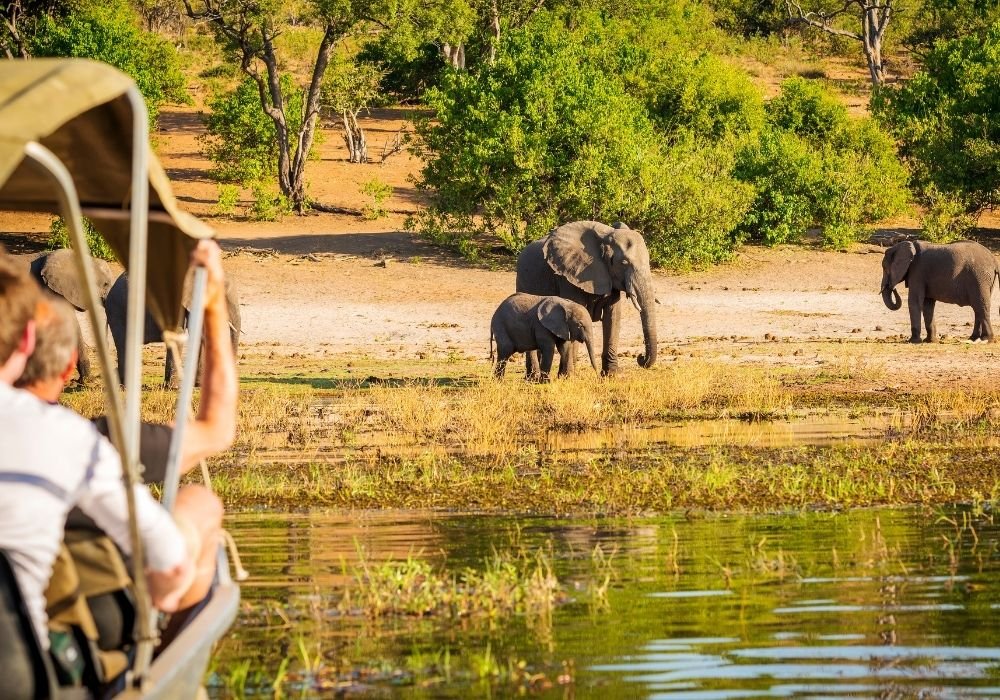 places to visit in january for safari