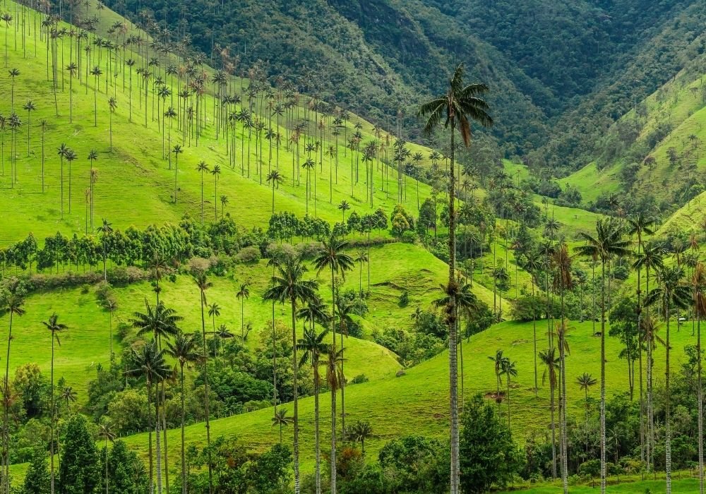 places to travel in january colombia