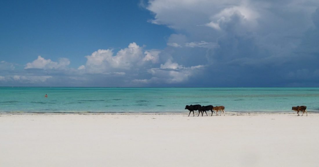 best places to visit in january zanzibar