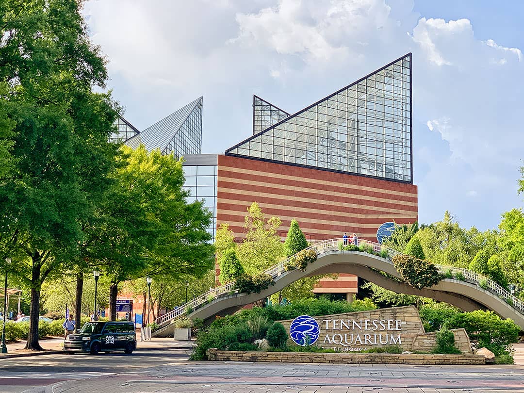 Aquarium in Chattanooga Tennesee