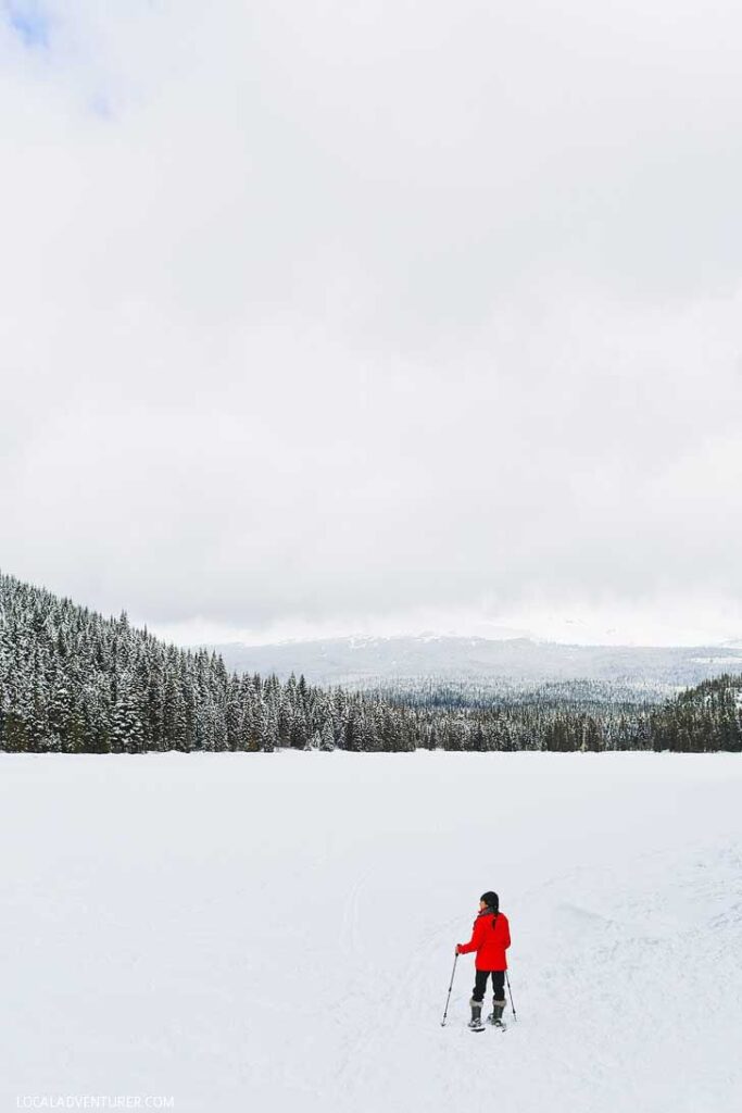 Trillium Lake Snowshoeing - This is one the best beginner spots for snowshoeing near portland. It's only an hour away and in the Mt Hood Territory. Check out our guide. // localadventurer.com