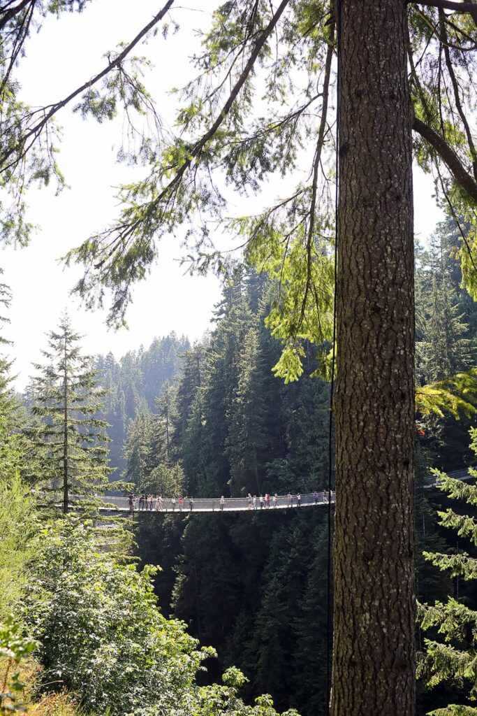 Capilano Suspension Bridge Vancouver BC