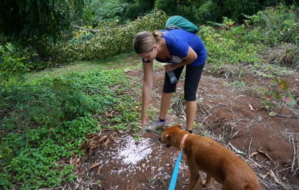 hashing in grenada