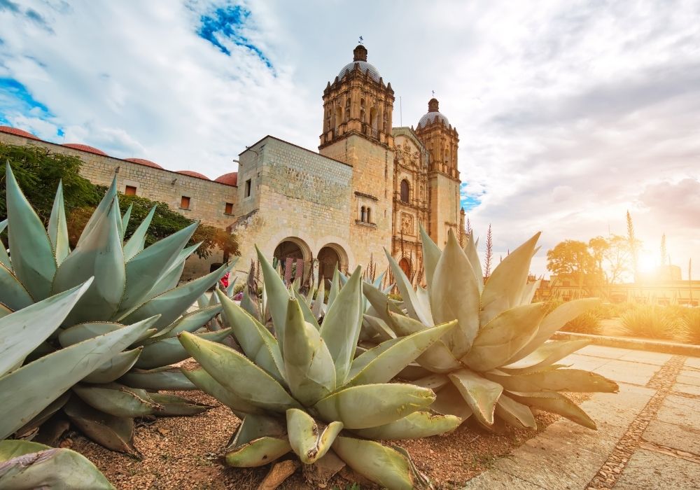 living in oaxaca for digital nomads church and agave