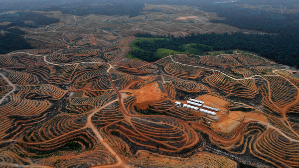Deforested land on Indonesia