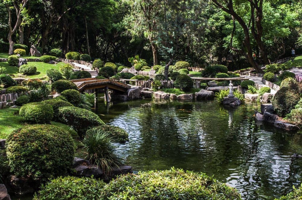 Guadalajara Japanese Garden