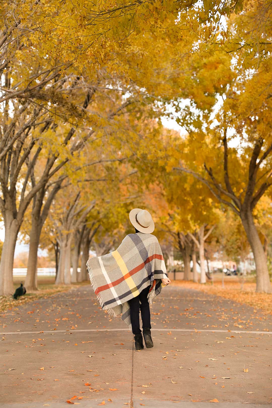 LL Beach Poncho at Floyd Lamb Park at Tule Springs