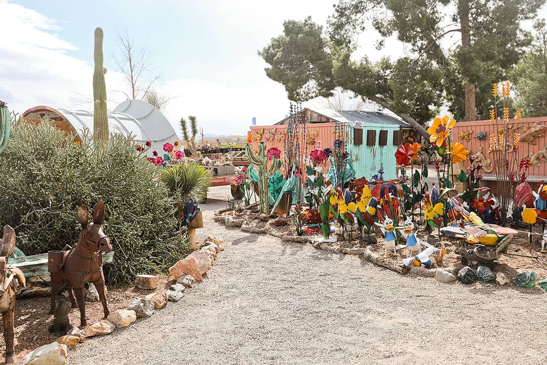 Cactus Joe's Blue Diamond Nursery