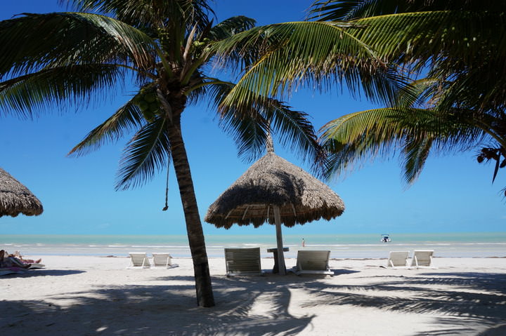 things to do in mexico visit holbox island
