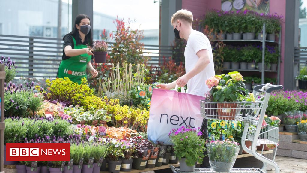 Homebase to put mini-garden centres at Next stores