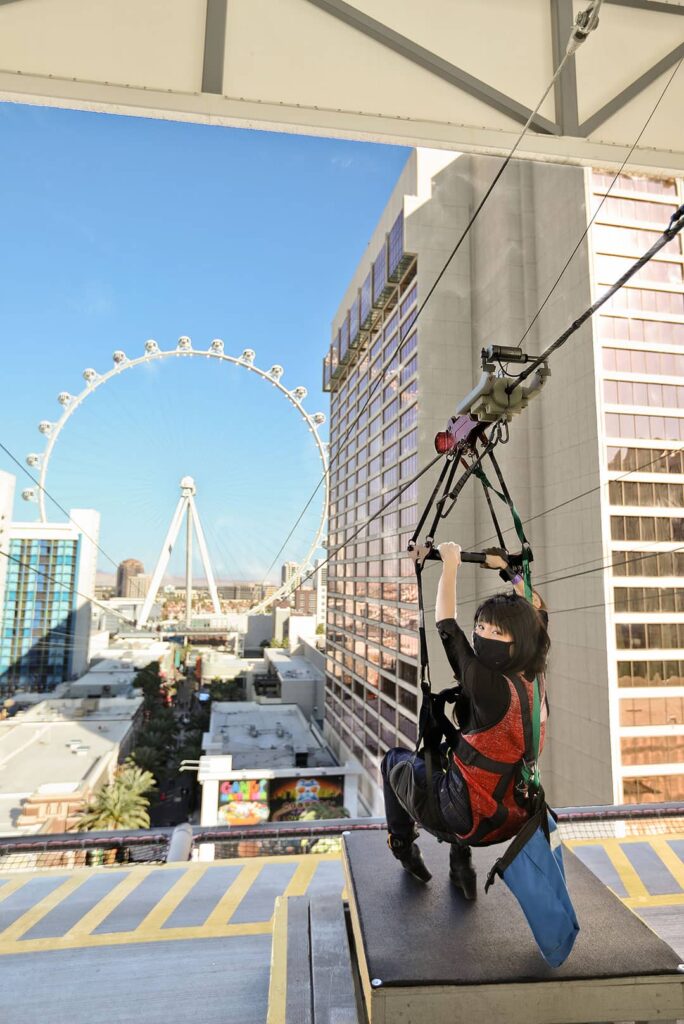 fly linq zipline