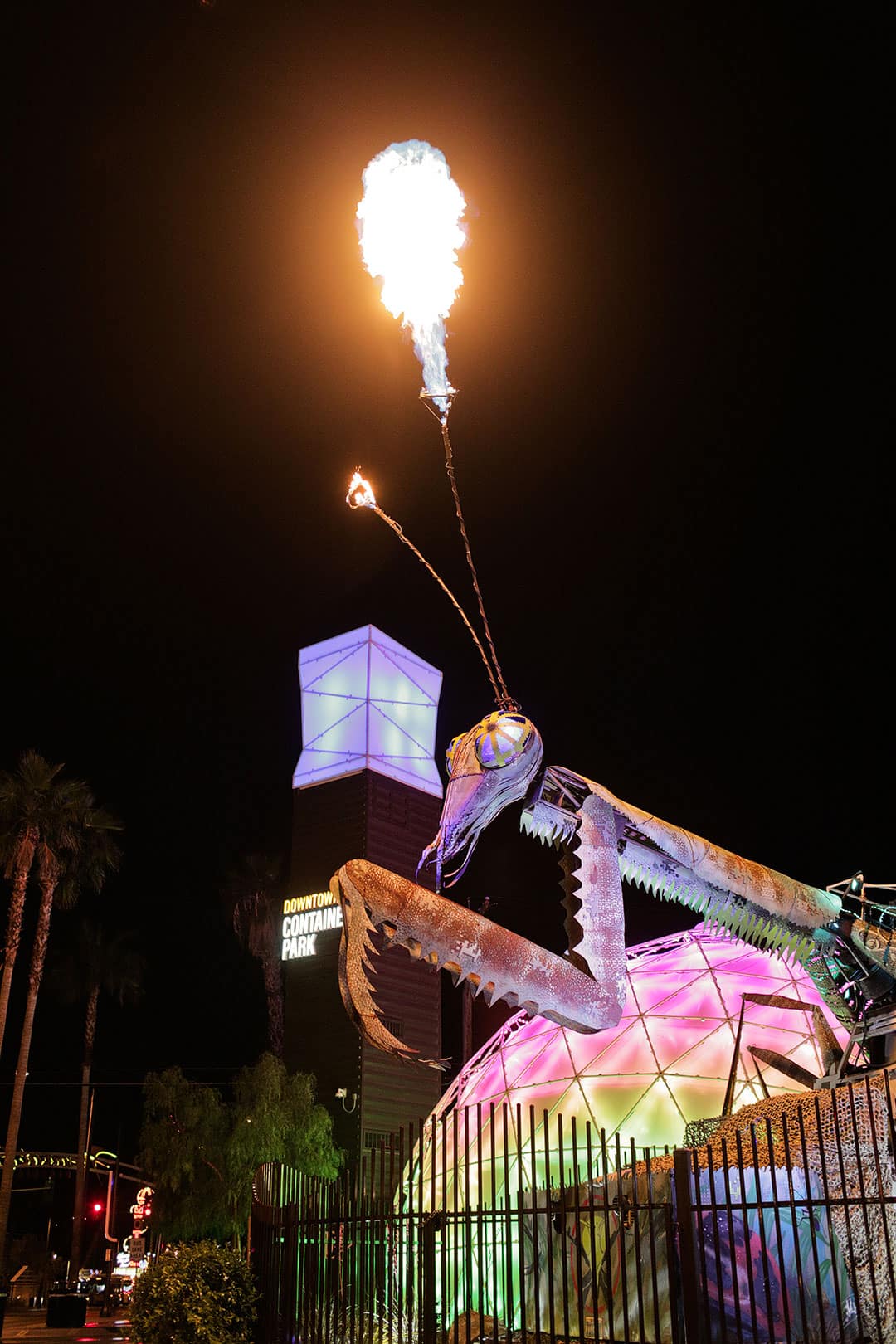 praying mantis las vegas container park