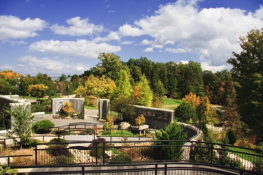 asheville activities visit the Arboretum