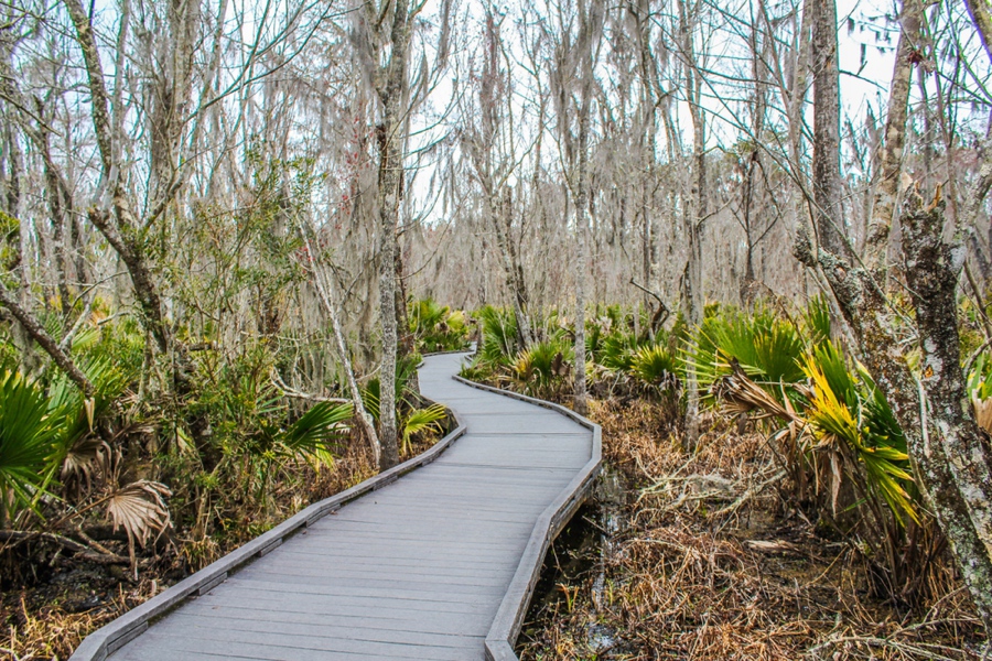 the Jean Lafitte National Historical Park & Preserve is a top new orleans attraction