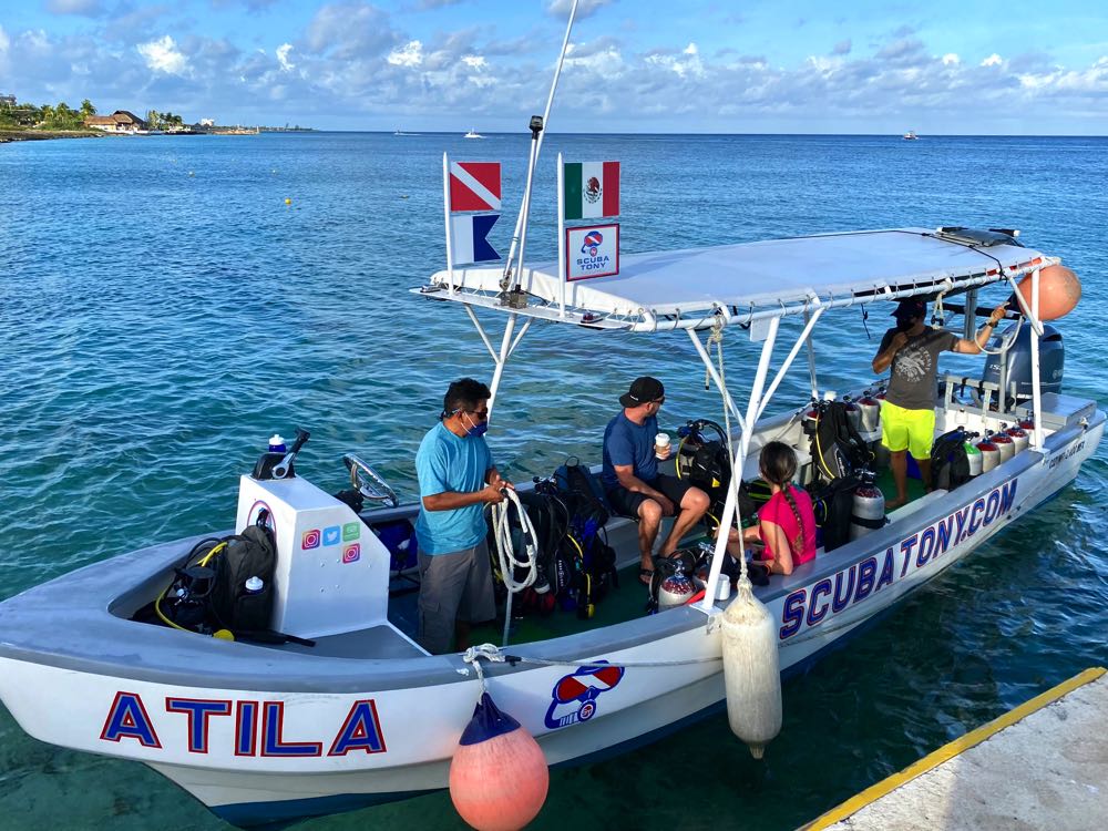 scuba diving with scuba tony cozumel