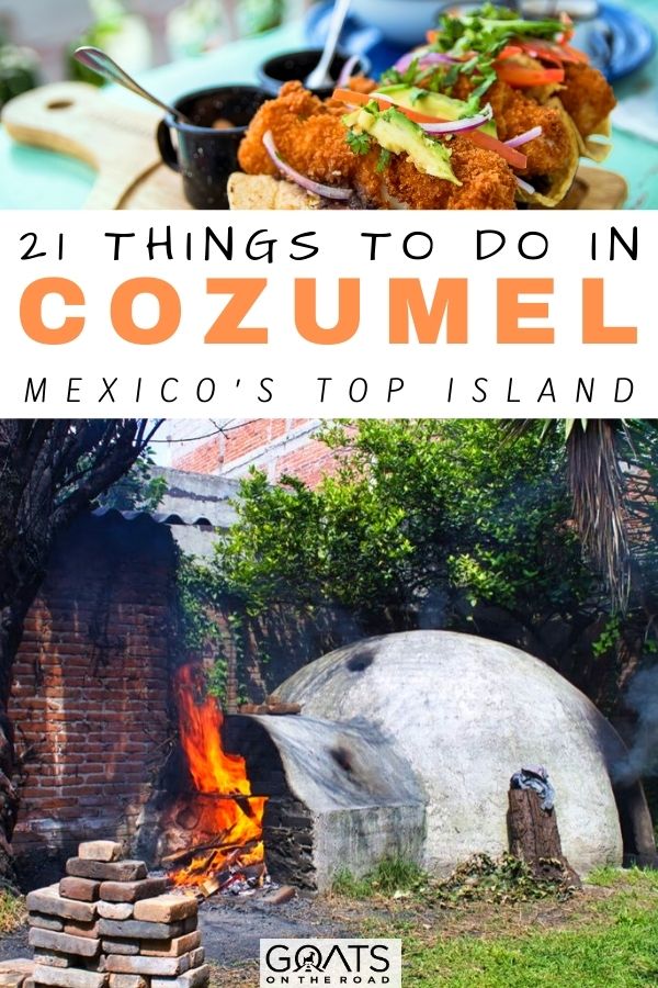 “21 Things To Do in Cozumel: Mexico’s Top Island