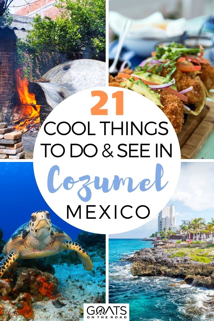 21 Cool Things To Do & See in Cozumel, Mexico