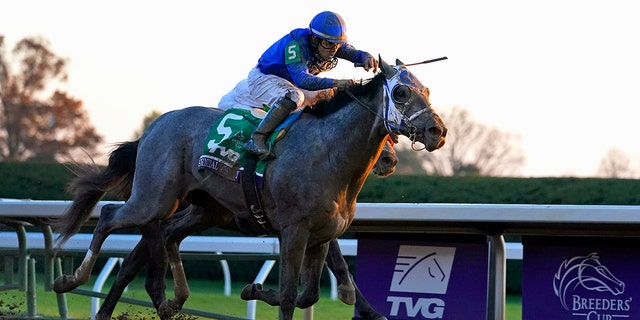 FILE - Jockey Luis Saez rides Essential Quality to win the Breeders' Cup Juvenile horse race at Keeneland Race Course in Lexington, Ky., in this Friday, Nov. 6, 2020, file photo. Essential Quality is expected to be the first gray horse favored to win the Kentucky Derby in 25 years. (AP Photo/Michael Conroy, File)