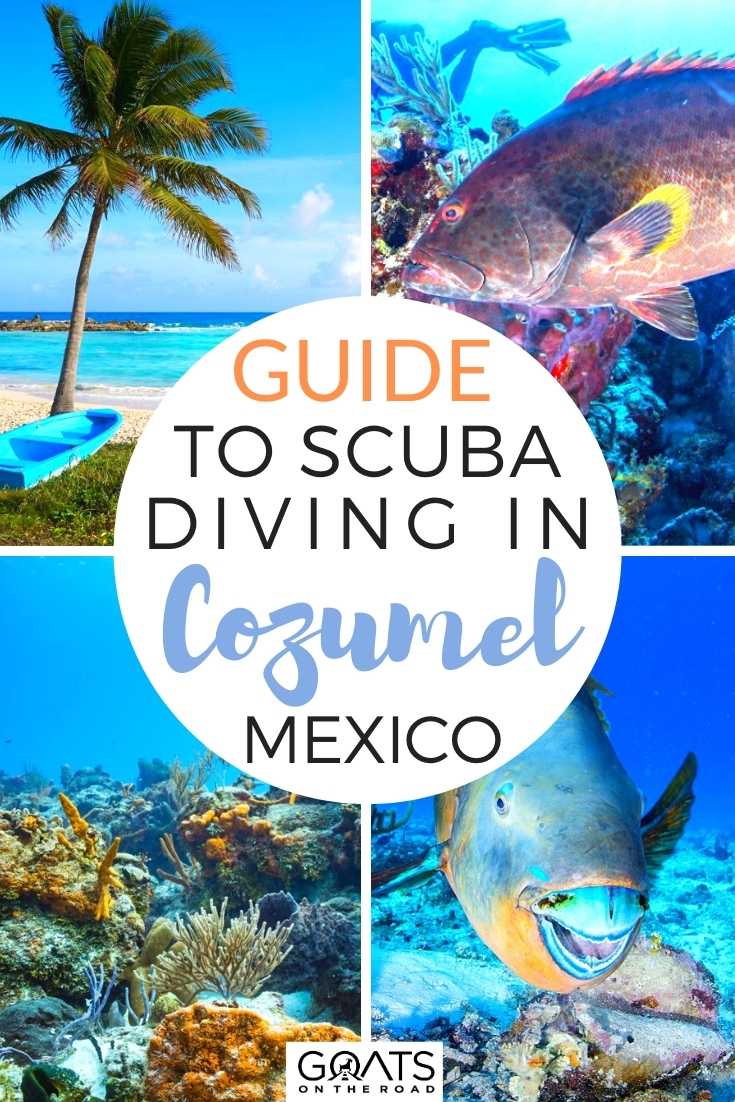 Guide To Scuba Diving in Cozumel, Mexico