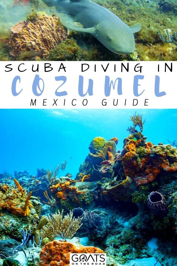 “Scuba Diving in Cozumel, Mexico