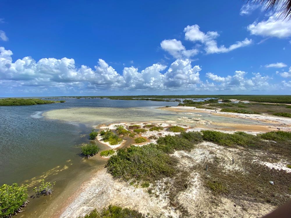 things to do in cozumel visit punta sur