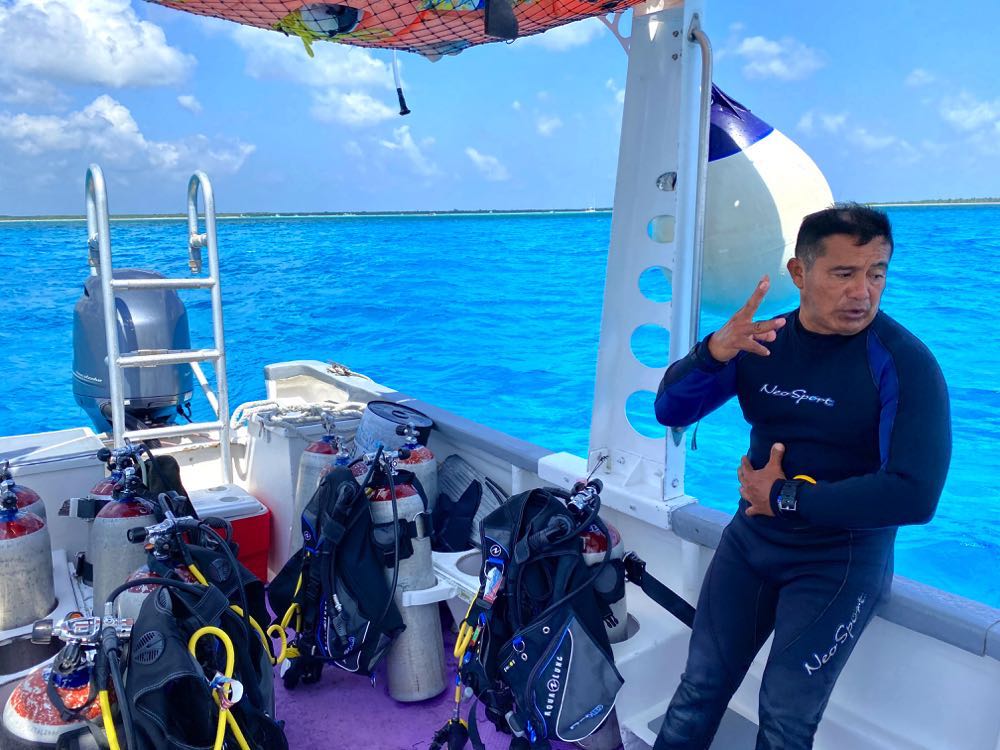 activities in cozumel scuba diving