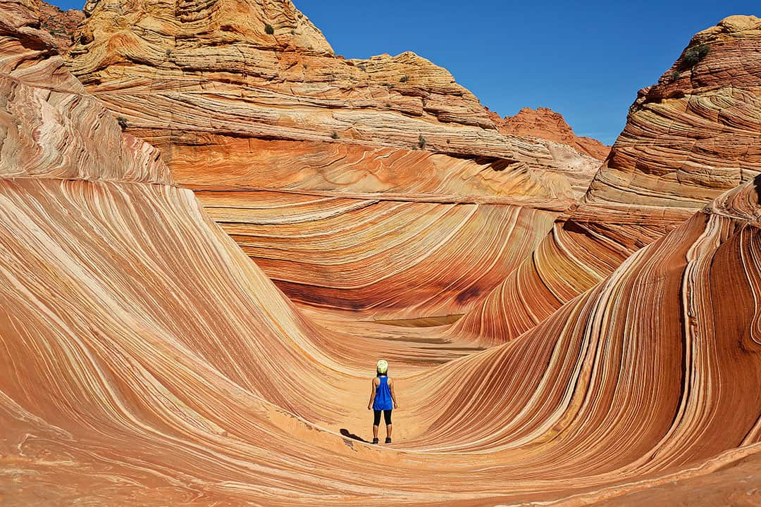 The Wave and Other Famous Hiking Trails in the US