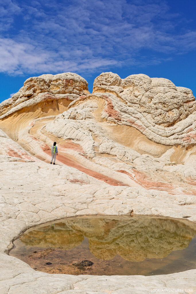 White Pocket Arizona - Sandstone Formations in Vermilion Cliffs National Monument near the border of Utah and Arizona // localadventurer.com