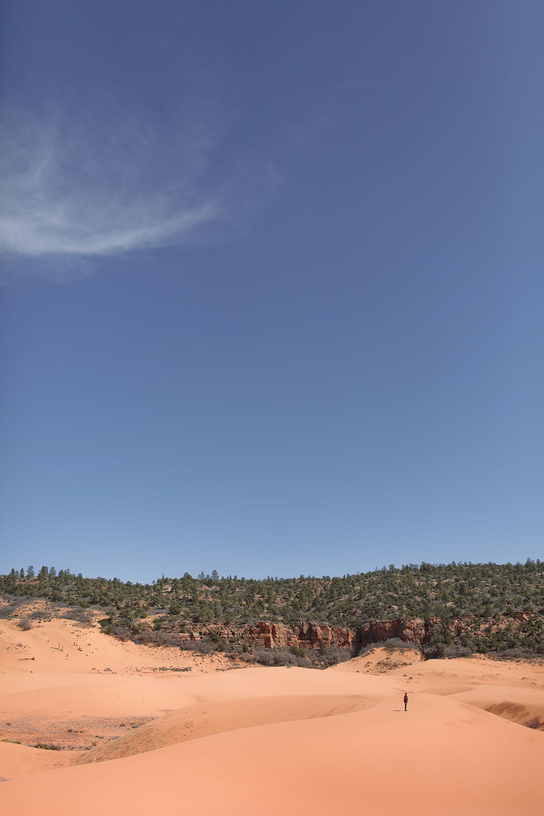 coral sand dunes state park kanab utah