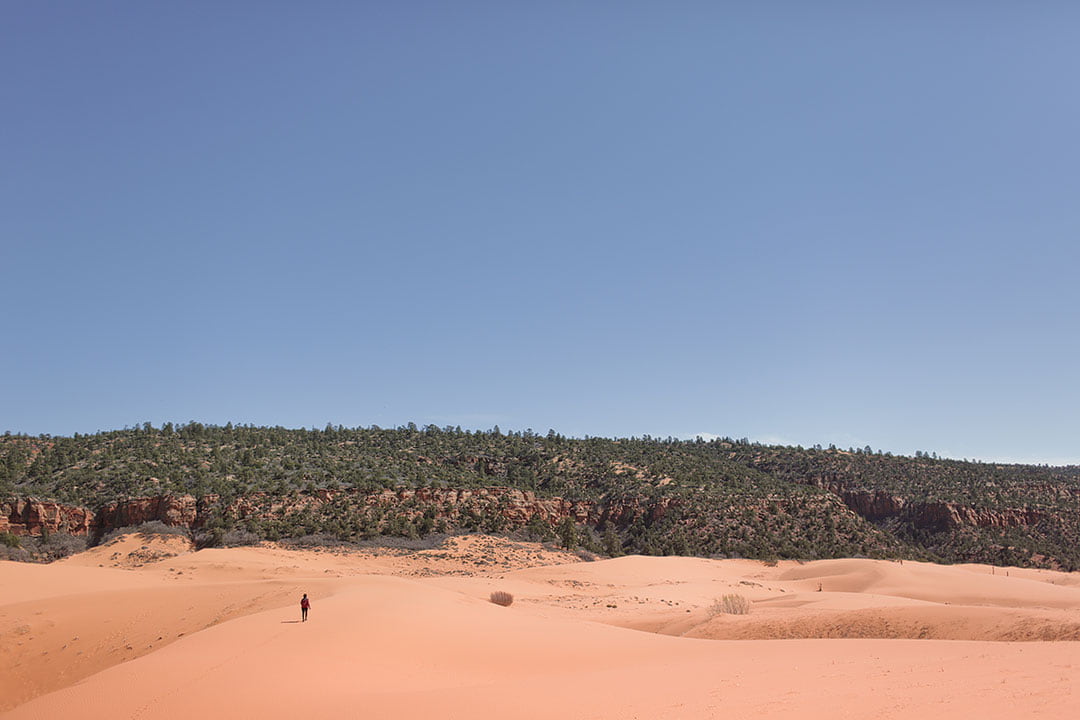 coral pink sand dunes state park