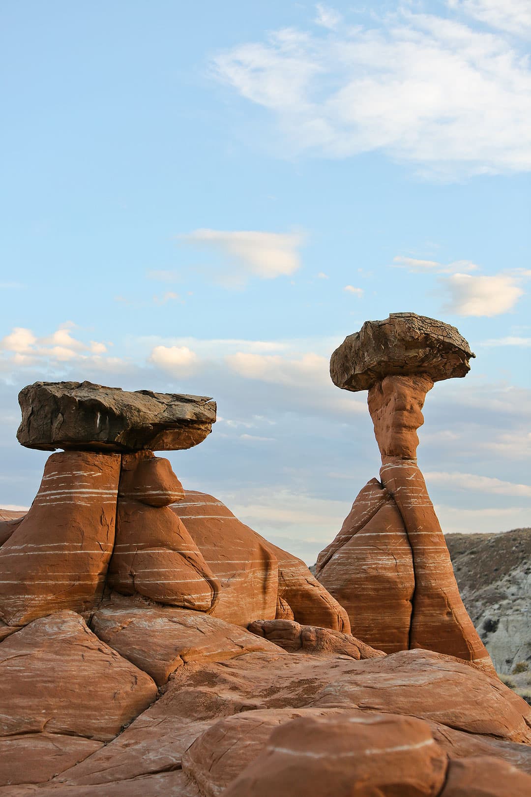 toadstool hoodoo