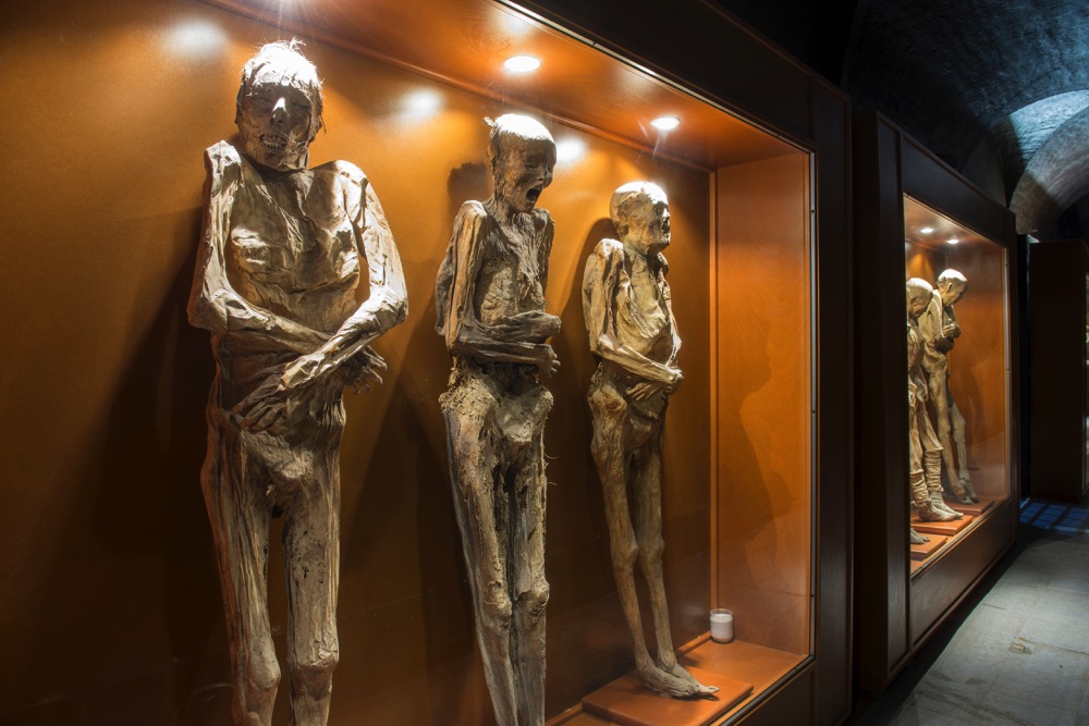 attractions in guanajuato mummies