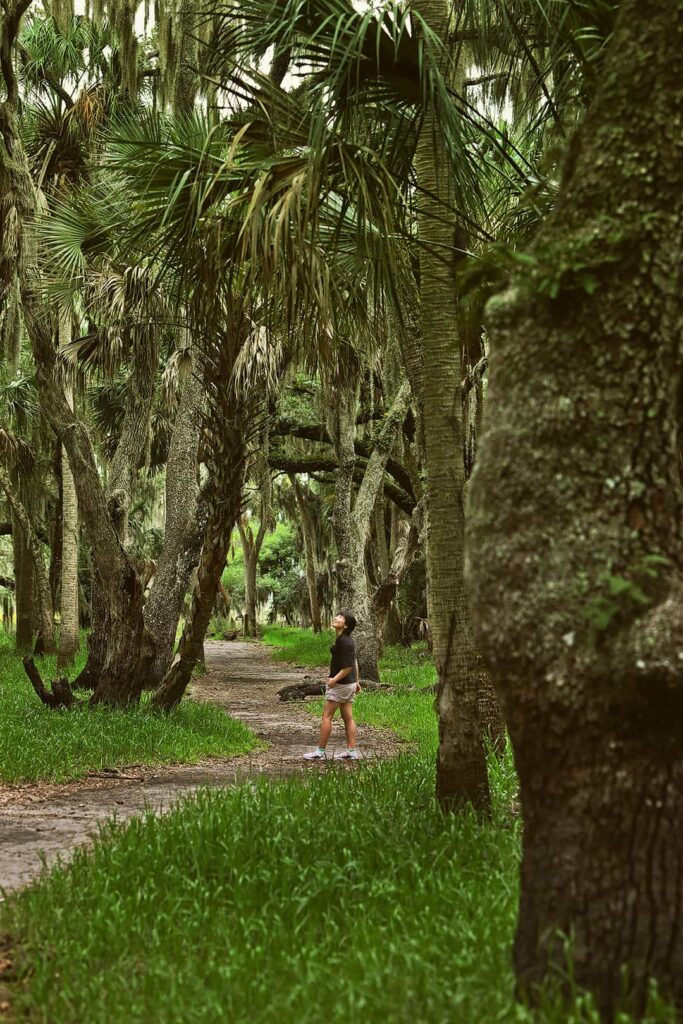 myakka state park fl