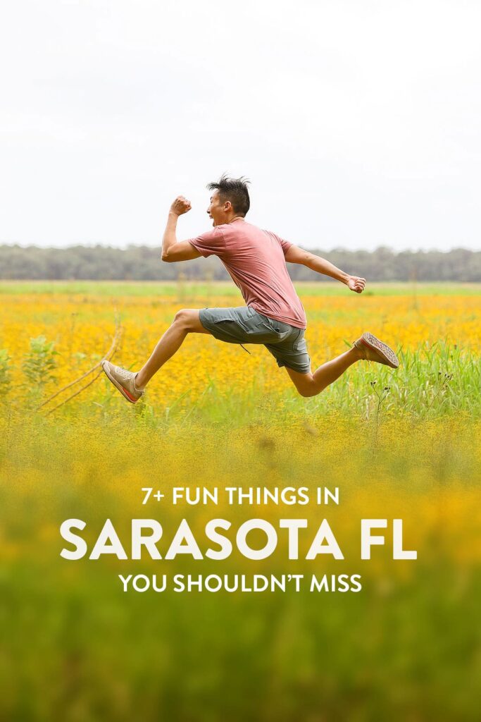 7+ fun things to do in sarasota fl