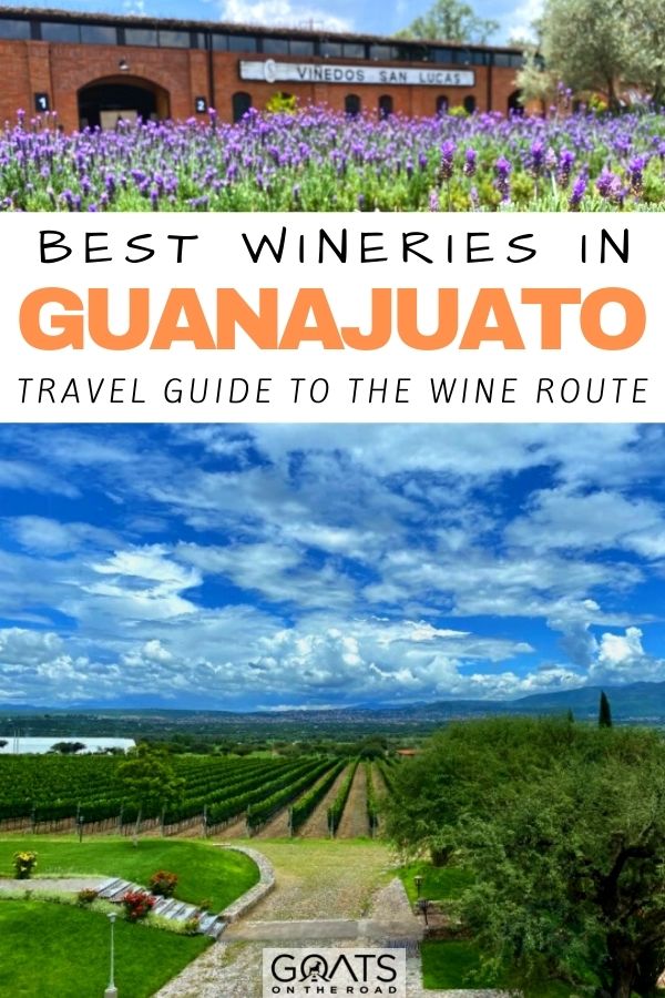 “Best Wineries in Guanajuato: Travel Guide to The Wine Route