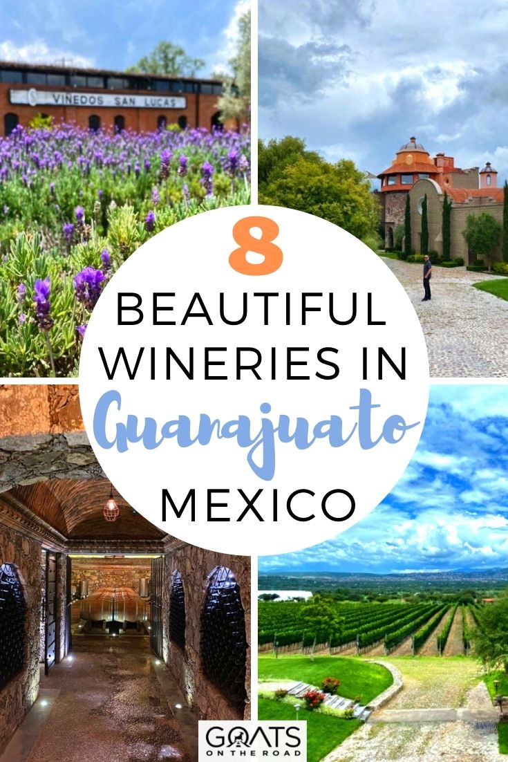 8 Beautiful Wineries in Guanajuato, Mexico