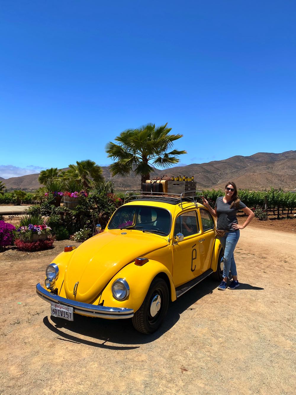 emeve winery valle de guadalupe