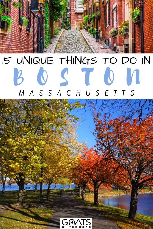 “15 Unique Things To Do in Boston, Massachusetts