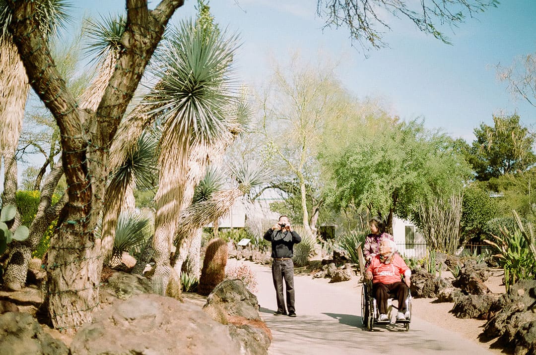 ethel m botanical cactus gardens