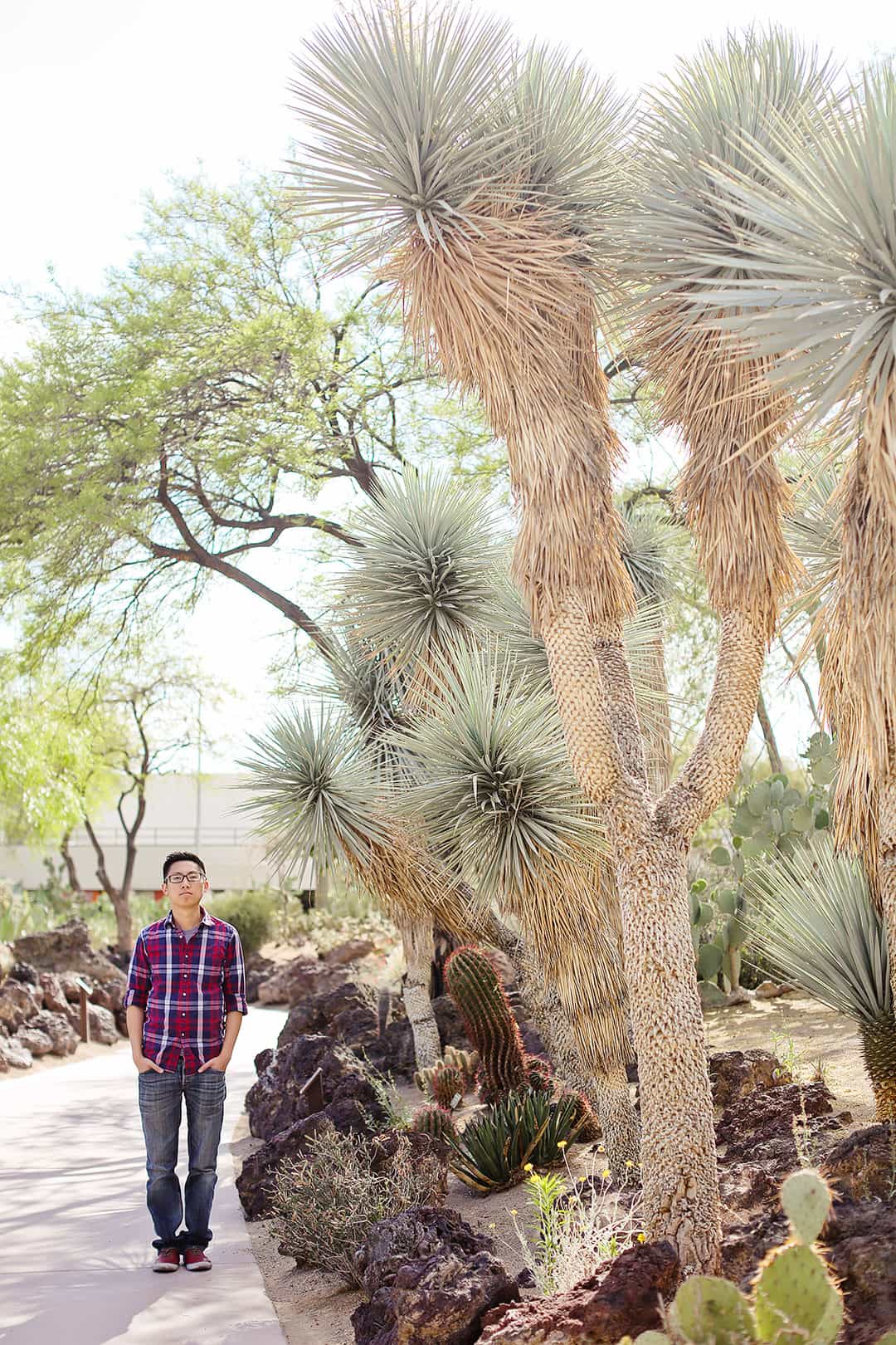 Ethel M Cactus Garden