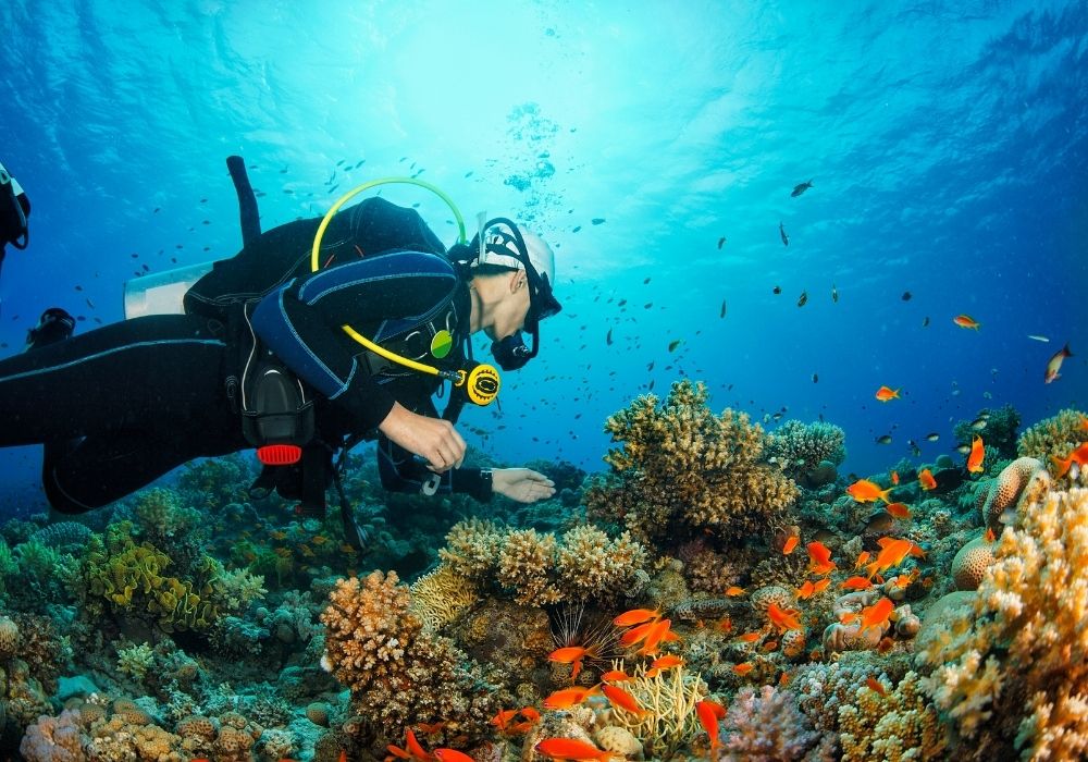 scuba diving Mexico