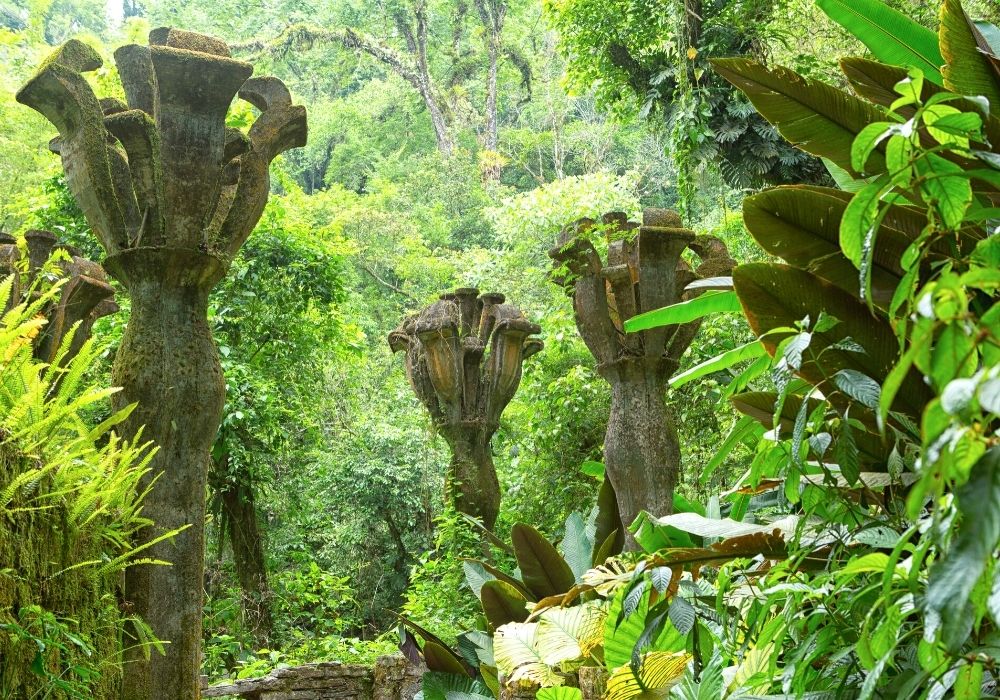 Garden of Las Pozas