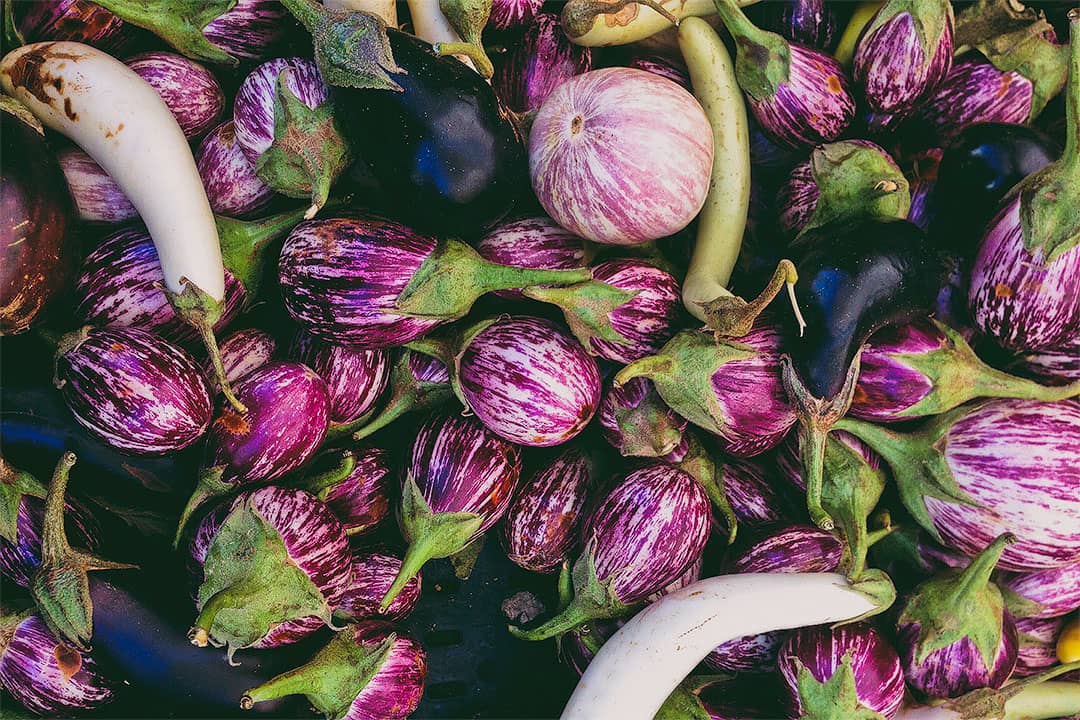 saturday santa monica farmers market